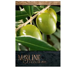 Kalendar "Masline 2022" 13 listova, spirala!!