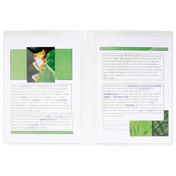 Fascikl prezentacijski obostrani pp A4 Exacompta 3967E prozirni