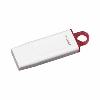 MEM UFD 256GB DTX White KIN KC-U2G256-5R