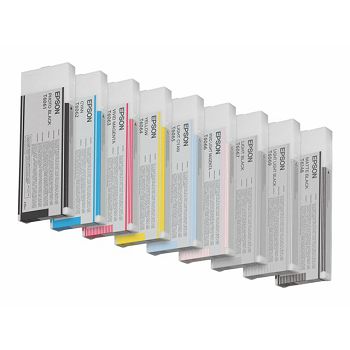 EPSON Ink Light Black T606700