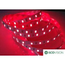 EcoVision LED fleksibilna traka 0,5m, 3528, 4,2W/m, 60LED/m, Crvena, 36V DC