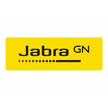 JABRA EVOLVE 30 Stereo HS