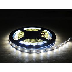 EcoVision LED traka 5m, 3528, 120 LED/m, 9.6W/m, 24V DC, 6000K, IP67