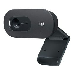 Logitech C505e HD web kamera, USB (960-001372)