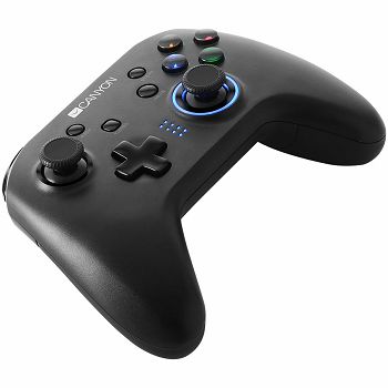 2.4G Wireless Controller with  built-in 600mah battery, 1M Type-C charging cable ,6 axis motion sensor support nintendo switch ,android,PC X-input/D-input,ps3,normal size dongle,black