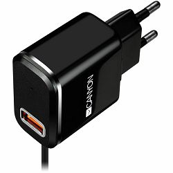 CANYON Universal 1xUSB AC charger (in wall) with over-voltage protection, plus Micro USB connector, Input 100V-240V, Output 5V-2.1A, with Smart IC, black (silver stripe), cable length 1m, 81*47.2*27mm