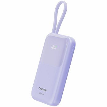 CNS-CPB101PU_2.jpg