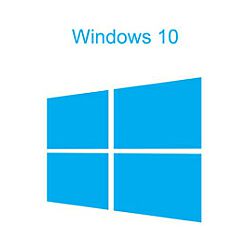 Microsoft Windows 10 Professional 64-bit CRO OEM DVD