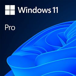 Windows 11 Professional 64Bit English Intl 1pk DSP OEI DVD