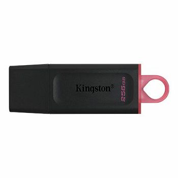 Kingston 256 GB 3.2 Gen 1 USB Flash Drive, DataTraveler Exodia