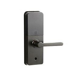 Dahua Smart lock DHI-ASL2101K-R