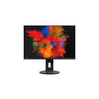 Fujitsu DISPLAY B2410 WS