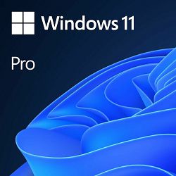 MS Windows 11 Professional 64-bit Eng