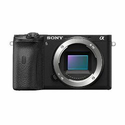 Sony ILCE-6600 body