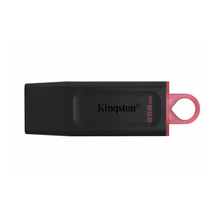 MEM UFD 256GB DTX KIN