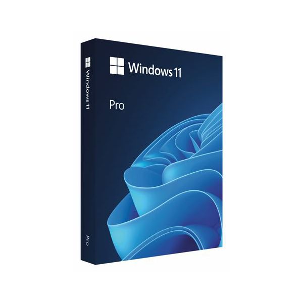 FPP Windows 11 Pro 64-bit Eng USB, HAV-00163