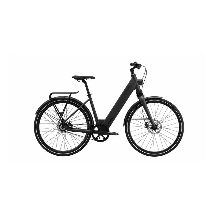 MS ENERGY eBike c300