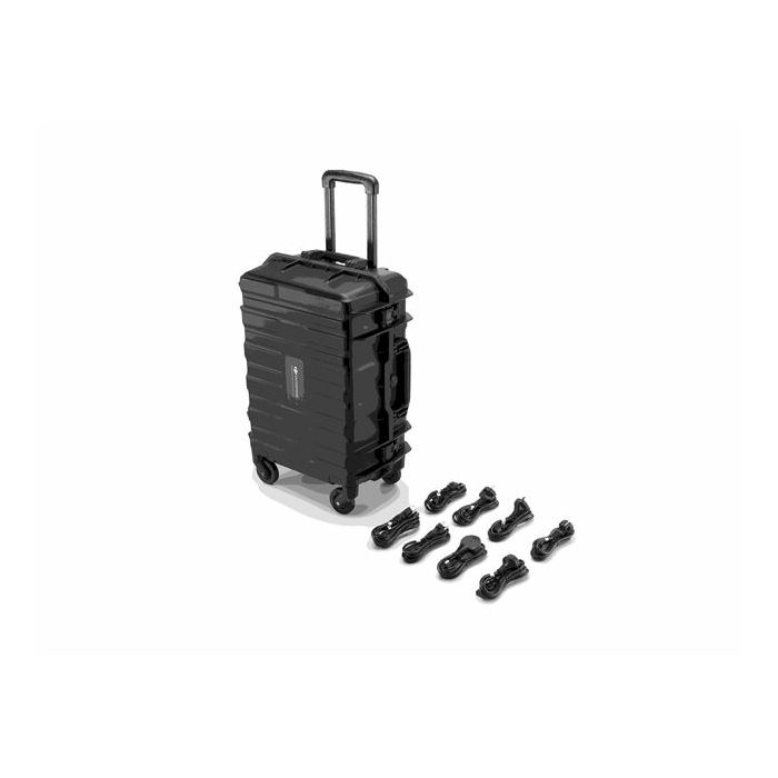 BS100 Intelligent Battery Station