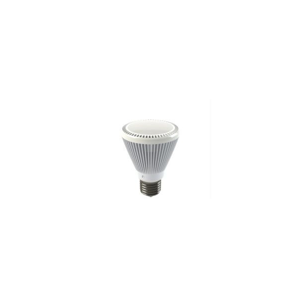 EcoVision LED žarulja PAR22 E27, 8W, 450lm, 2700-3000K - topla bijela, bijela