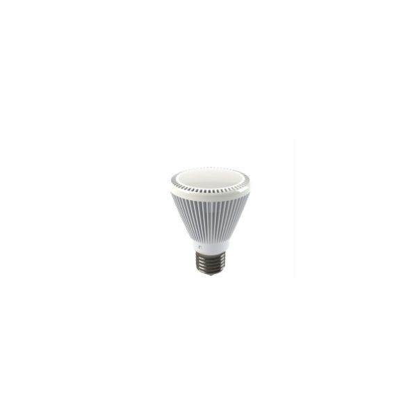 EcoVision LED žarulja PAR22 E27, 8W, 485lm, 4000-4500K - neutralna bijela, bijela