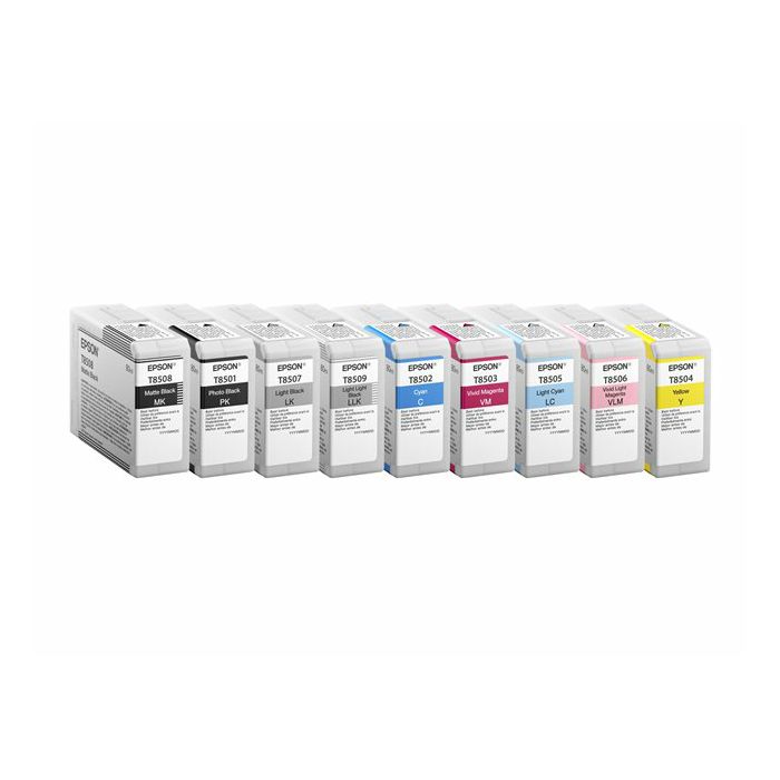 EPSON Singlepack Photo Black T850100