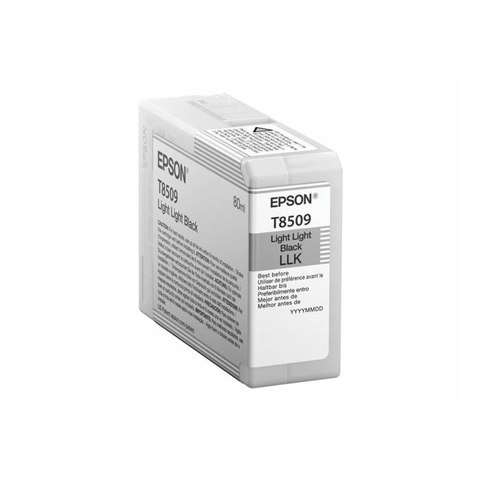 EPSON Singlepack Light Light Black