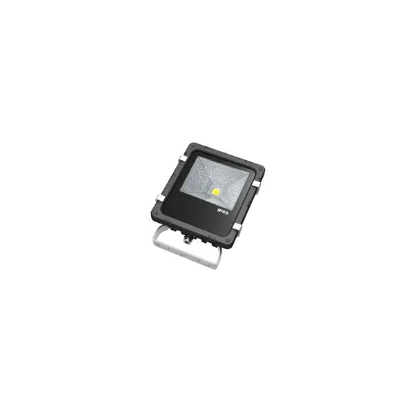 EcoVision LED reflektor 10W, 6000K, hladna-bijela, crni