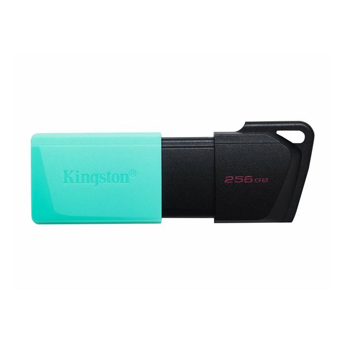 KINGSTON 256GB DataTraveler Exodia M