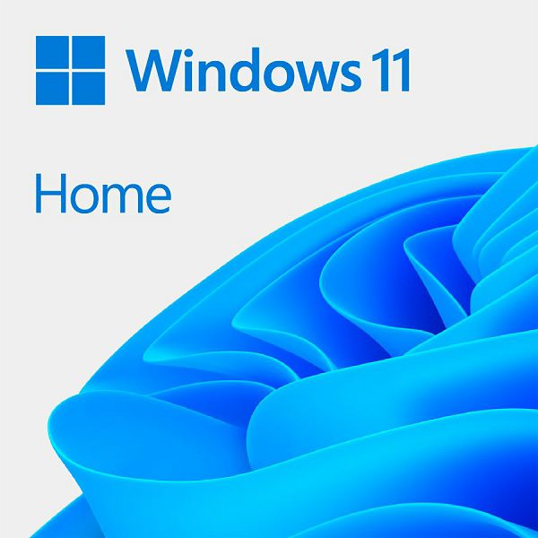 Windows 11 Home 64Bit English Intl 1pk DSP OEI DVD